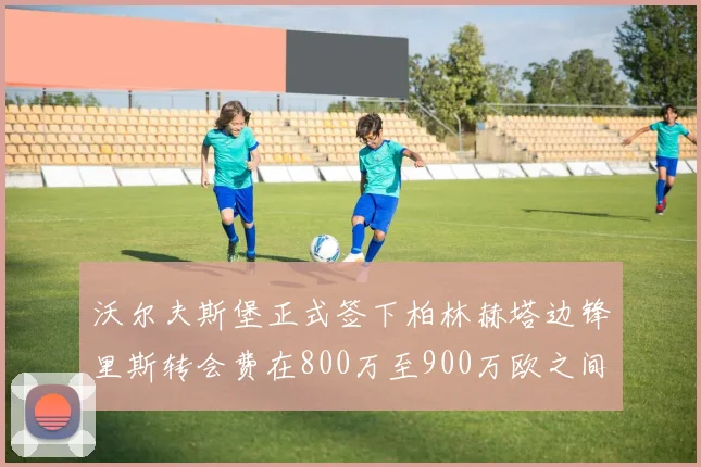 沃尔夫斯堡正式签下柏林赫塔边锋里斯转会费在800万至900万欧之间