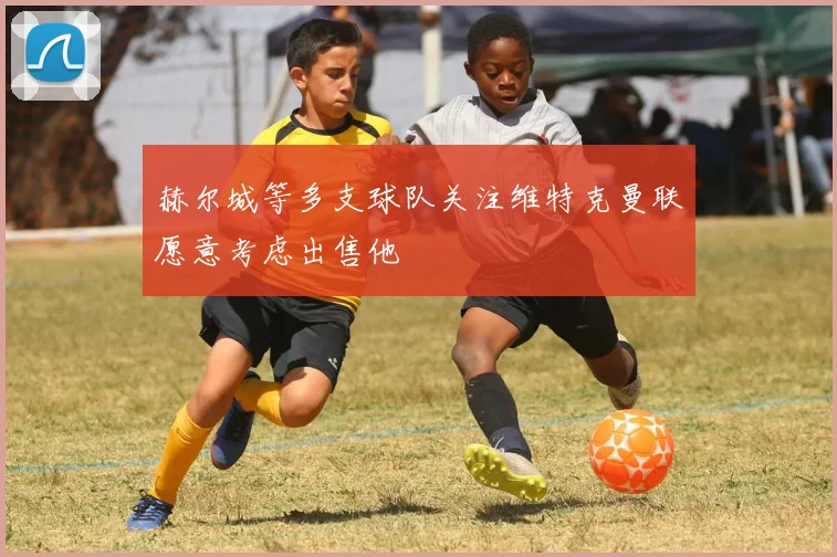 赫尔城等多支球队关注维特克曼联愿意考虑出售他